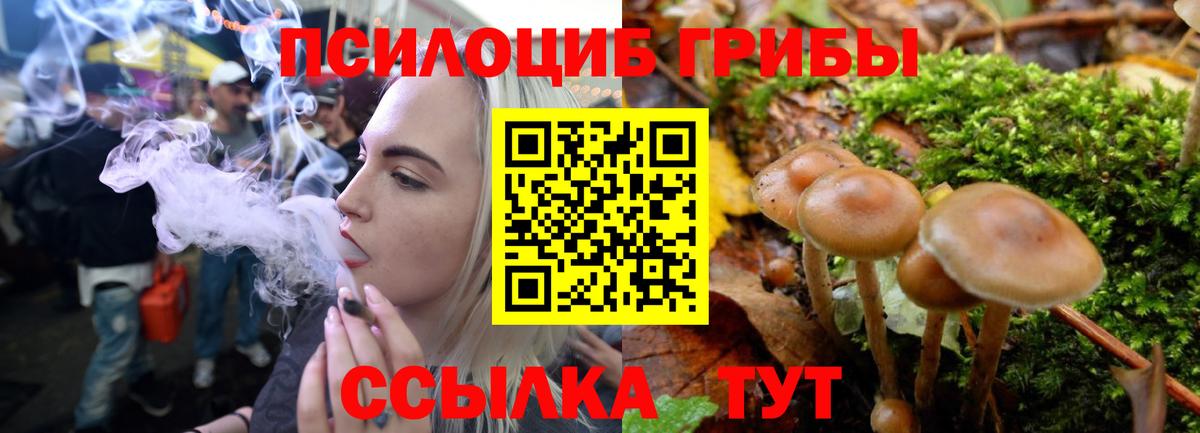 Галлюциногенные грибы Psilocybe  Вход с VPN  Галлюциногенные грибы мухоморы  Новый Уренгой 