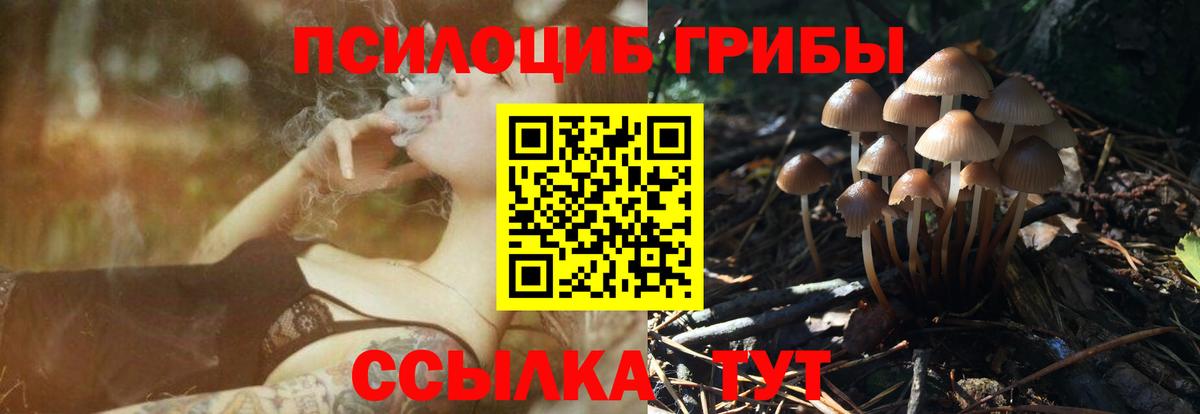 Галлюциногенные грибы Cubensis Новый Уренгой